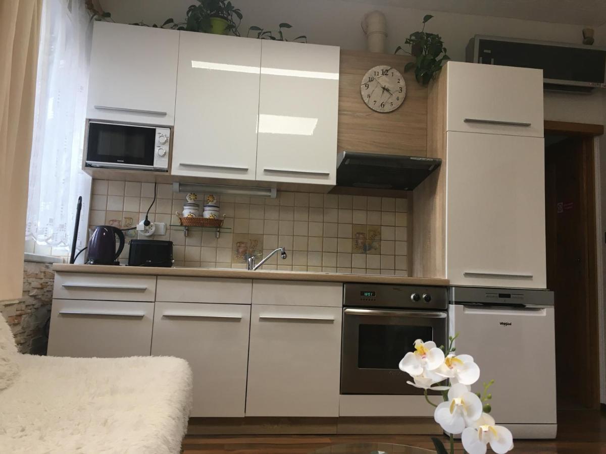 Apartment Hlinska Ceske Budejovice Exteriör bild