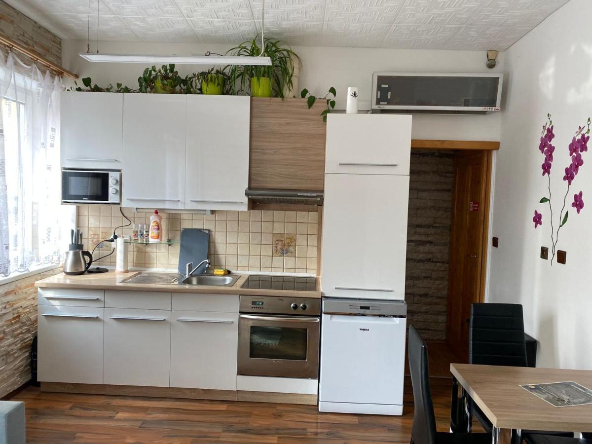 Apartment Hlinska Ceske Budejovice Exteriör bild
